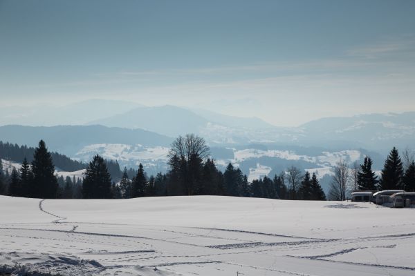 Hochlitten Gasthof (Riefensberg)